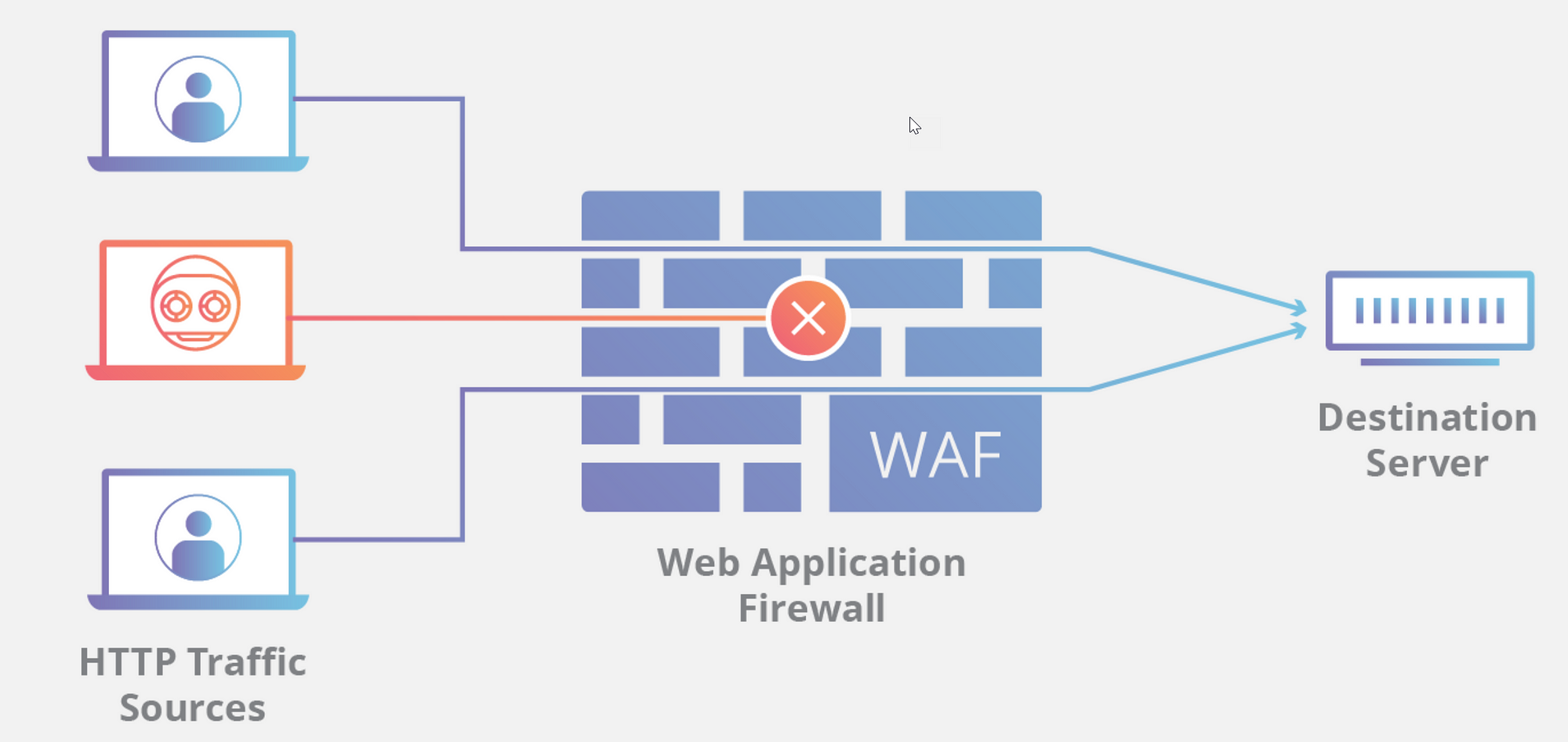 WAF and CDN: Differences and How They Work Together